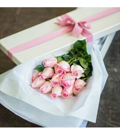 One Dozen Pink Roses