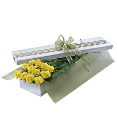 One Dozen Yellow Roses