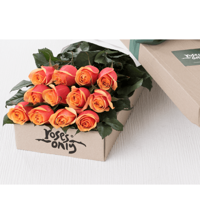 One Dozen Orange Roses