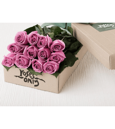 One Dozen Purple Roses
