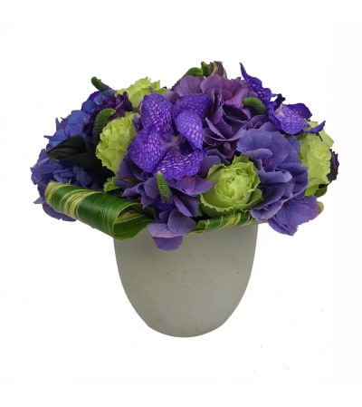 Perfectly Purple