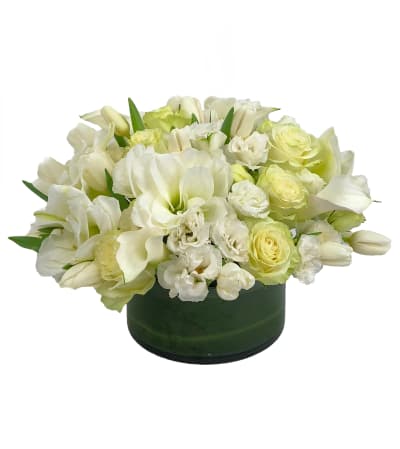 White Wonders
