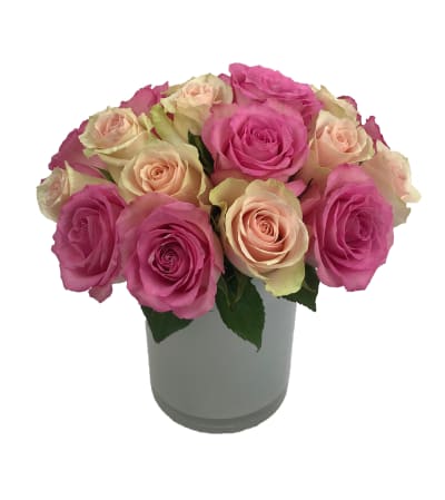 Pink Petals