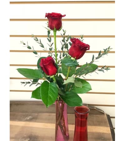 Three Sweet Roses