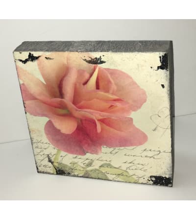 Salmon Rose Block Art I