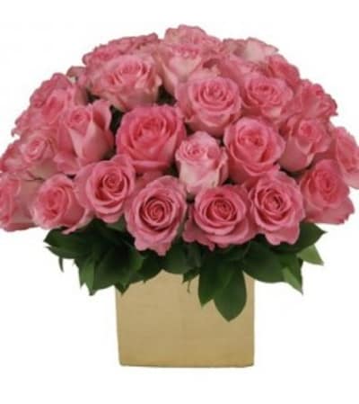 Rose Box