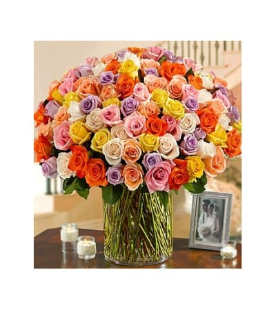 100 PREMIUM LONG STEM MULTICOLORED ROSES