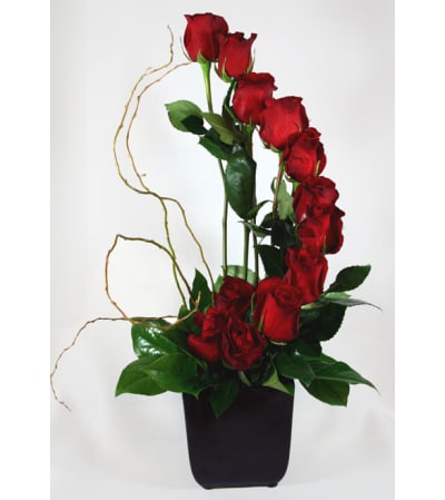 Vertical of roses