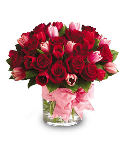 Roses and Tulips