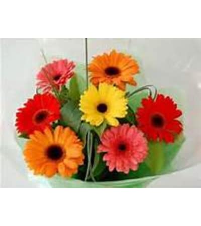 Gerbera Daisies Wrapped