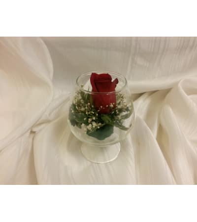 Single Red Rose in bowl