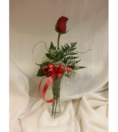 Single Stem Rose in a Vase