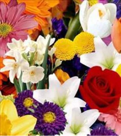 Mixed cut bouquet- no vase