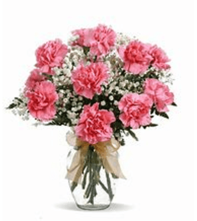 Dozen Carnations Vased