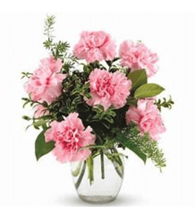 6 Carnations in a Vase