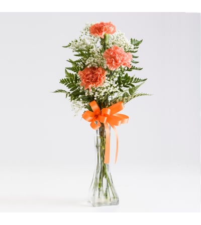 3 Carnation Bud Vase