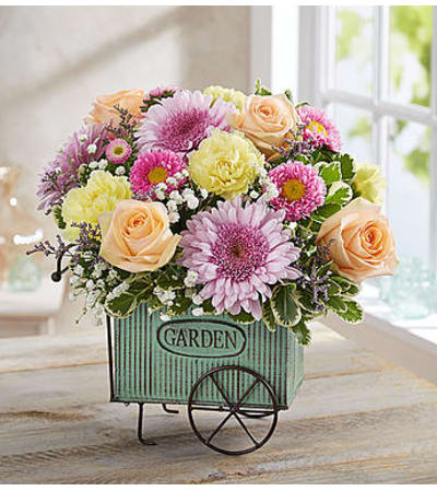 Blooming Garden