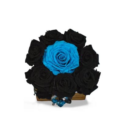 Keep Pounding Panthers Forever Rose