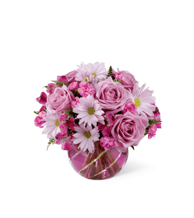 RADIANT BLOOMS