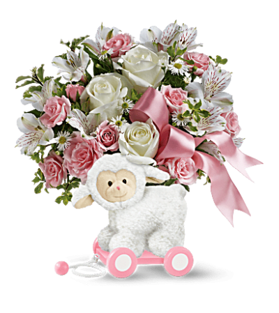 Sweet Little Lamb - Baby Pink