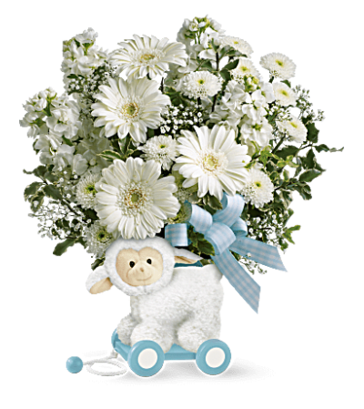 Sweet Little Lamb - Baby Blue