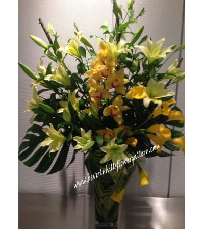 Yellow Opulence