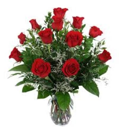 Classic Red Roses