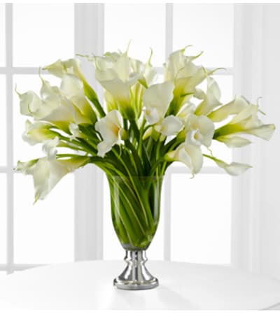 Clearly Callas