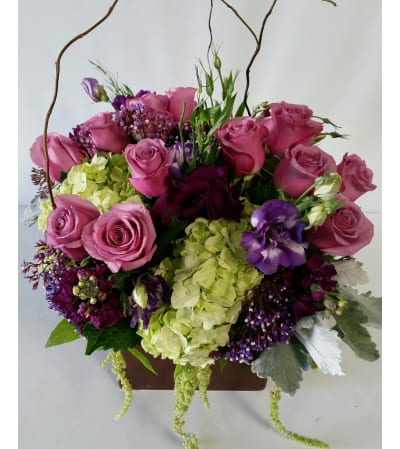 Beautiful Purple Blossoms