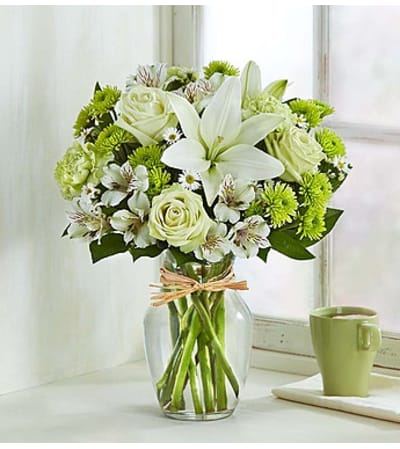 Serene Green™