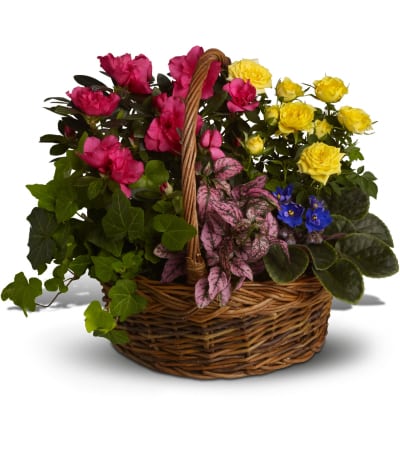 Colorful Garden Basket