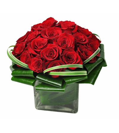 Red Rose Velvet
