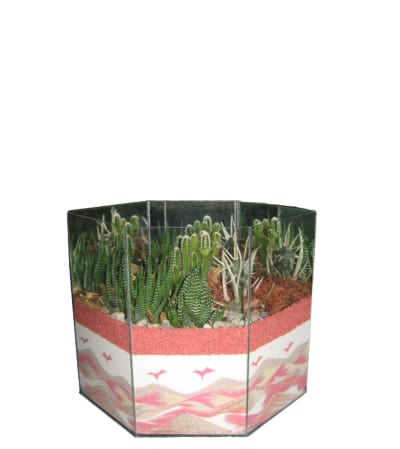 Creative Cactus Garden