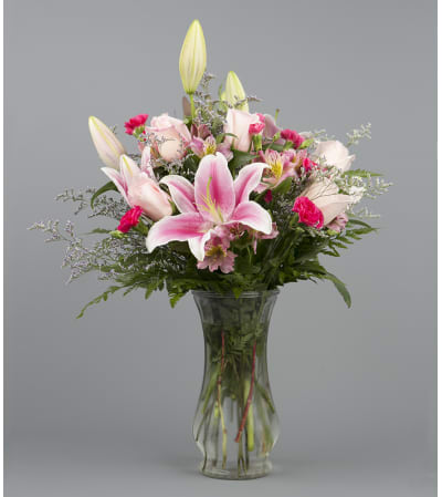 Stargazer Delight