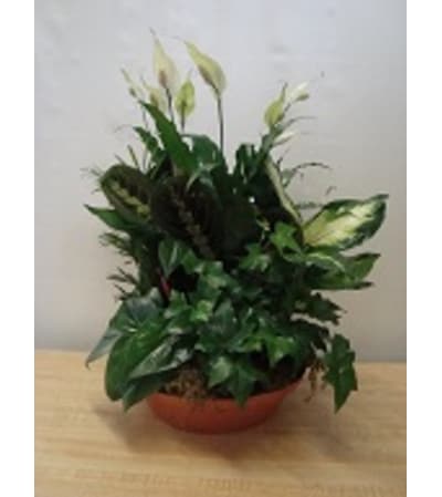 Earthly Planter