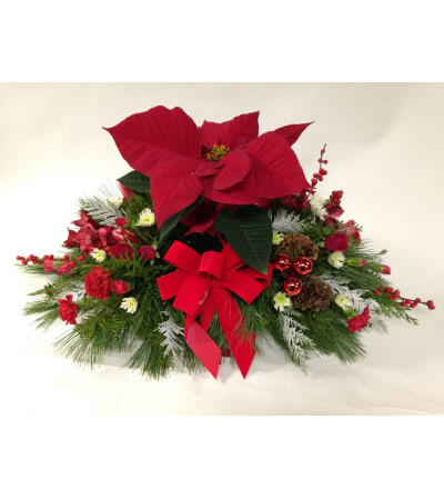 A Poinsettia Centerpiece