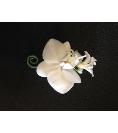 phalaenopsis boutonniere
