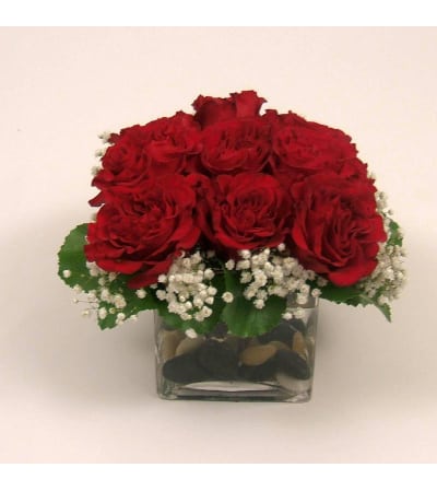 CHRISTMAS ROSES