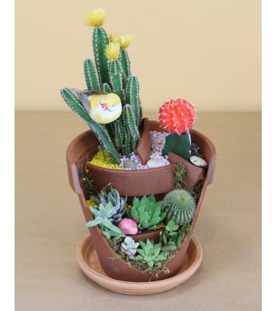 Garden of Clay