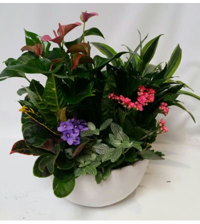 Mom's Flower Garden