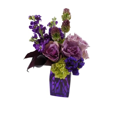 Plum Ombre