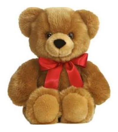 Hugs and Kisses Bear