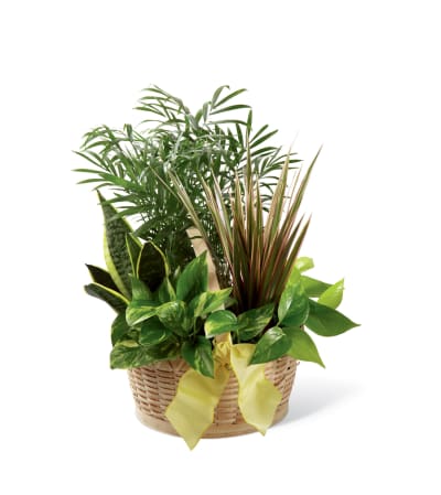 The FTD® French Garden™