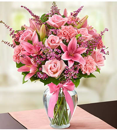 Expression of Pink