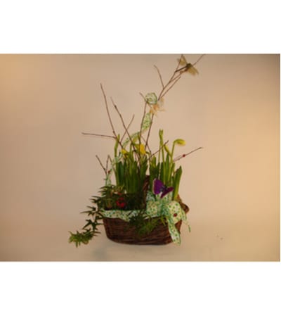 Basket of Daffodils