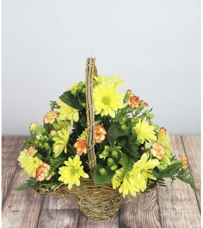The Brightest Blooms