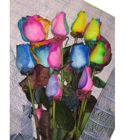 Beautiful Rainbow Roses