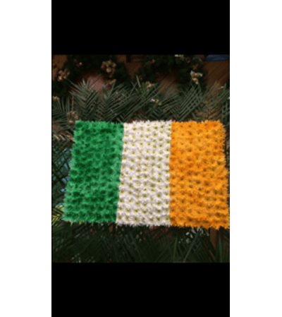 Irish Flag.