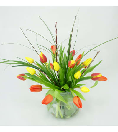 Tempting Tulips