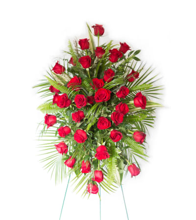 Classic Red Rose Tribute